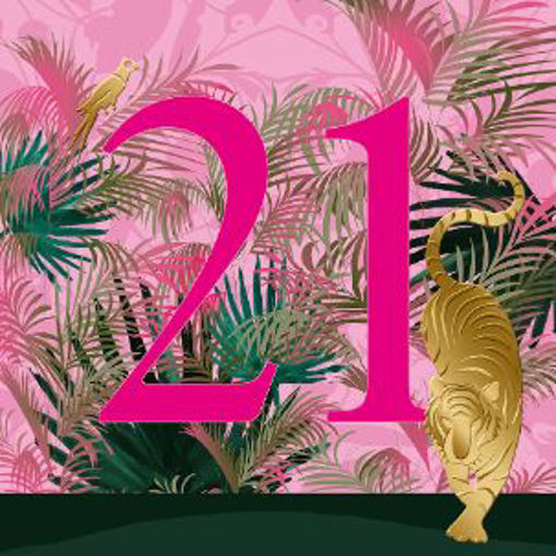 Picture of 21ST BIRTHDAY CARD